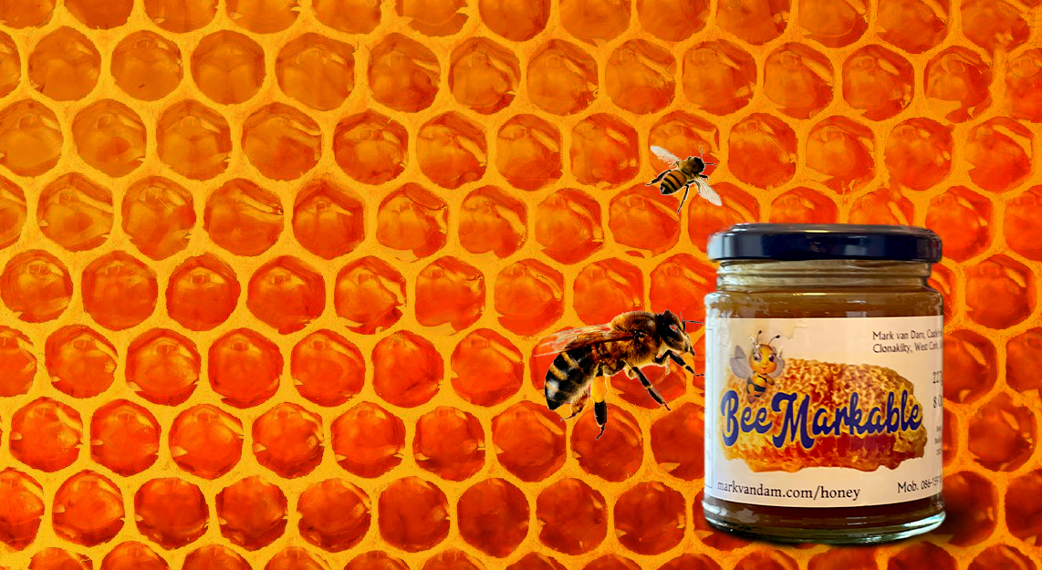 image of honey with bees
