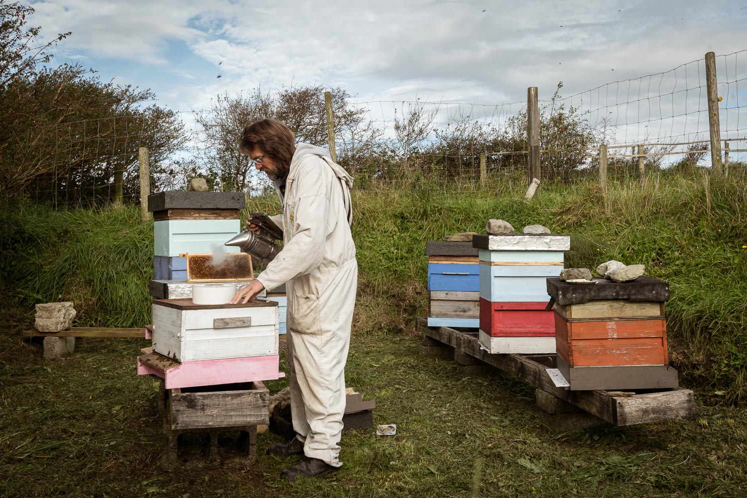 Mark's Farm opening hives