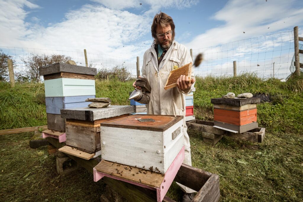 Mark's Farm opening hives