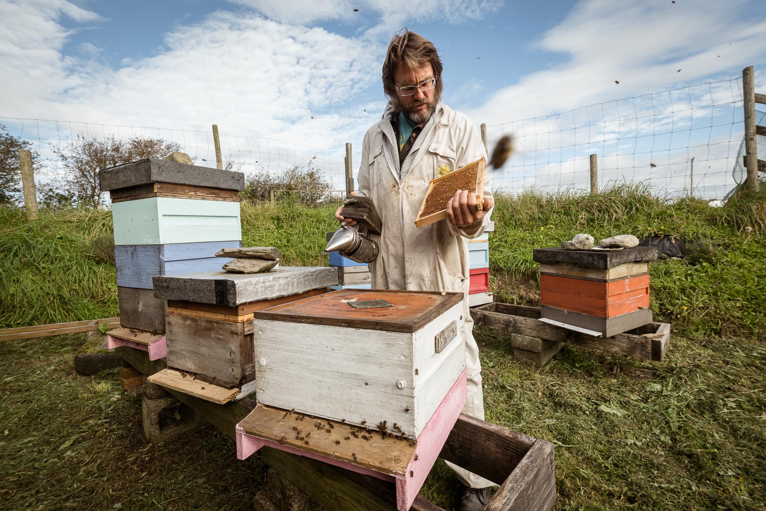 Mil - Raw Irish Honey with Propolis & Pollen from West Cork