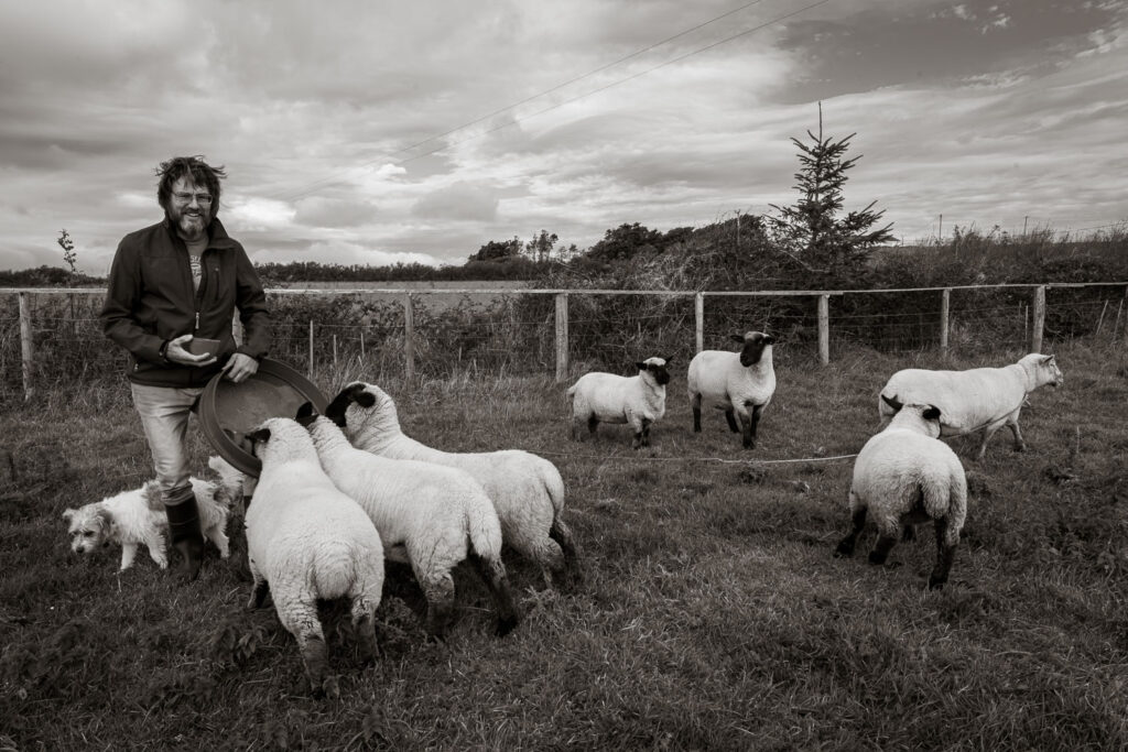 Mark with sheep